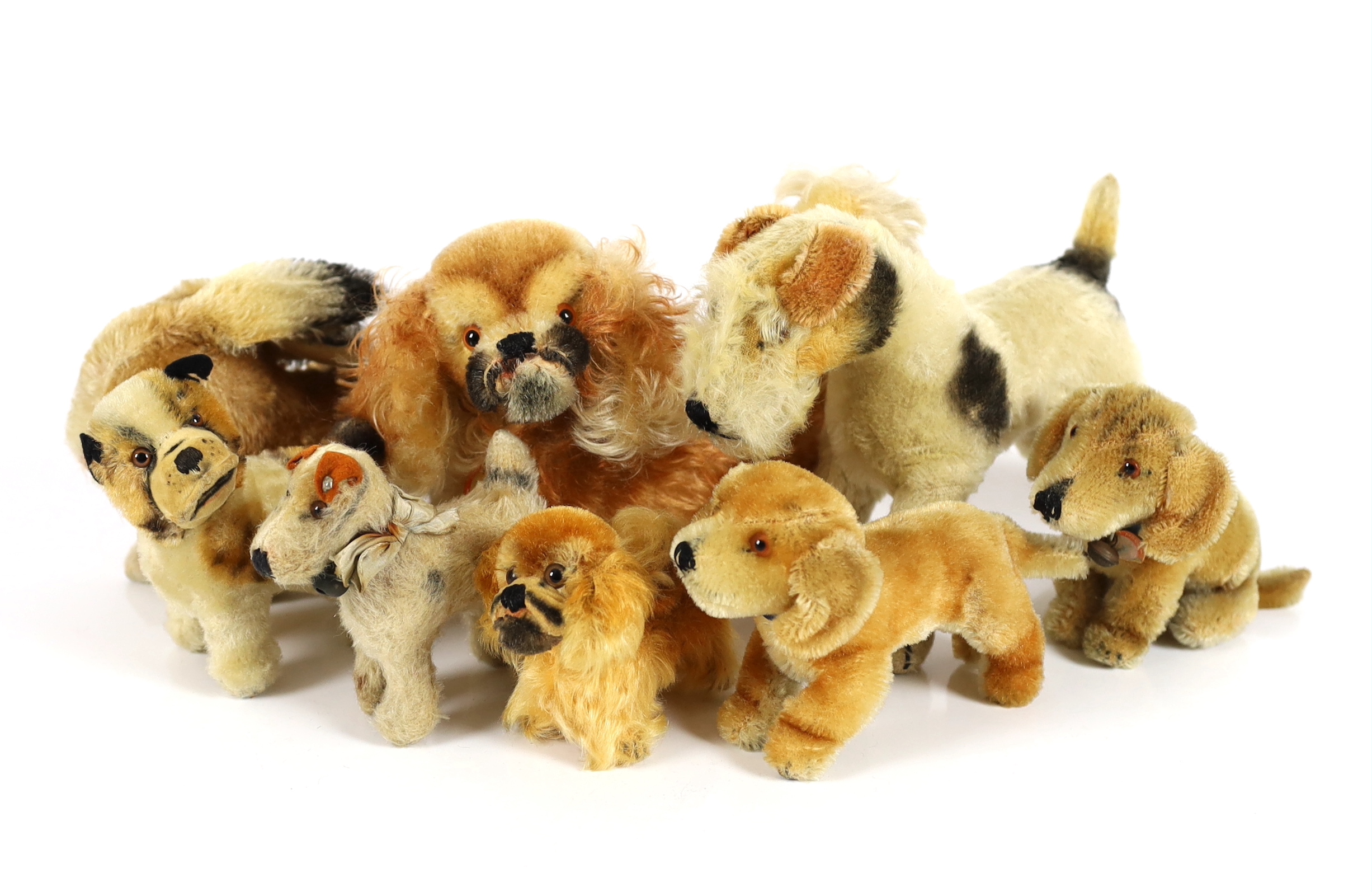 Nine 1950's Steiff dogs (9)